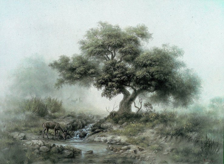 PAYSAGE